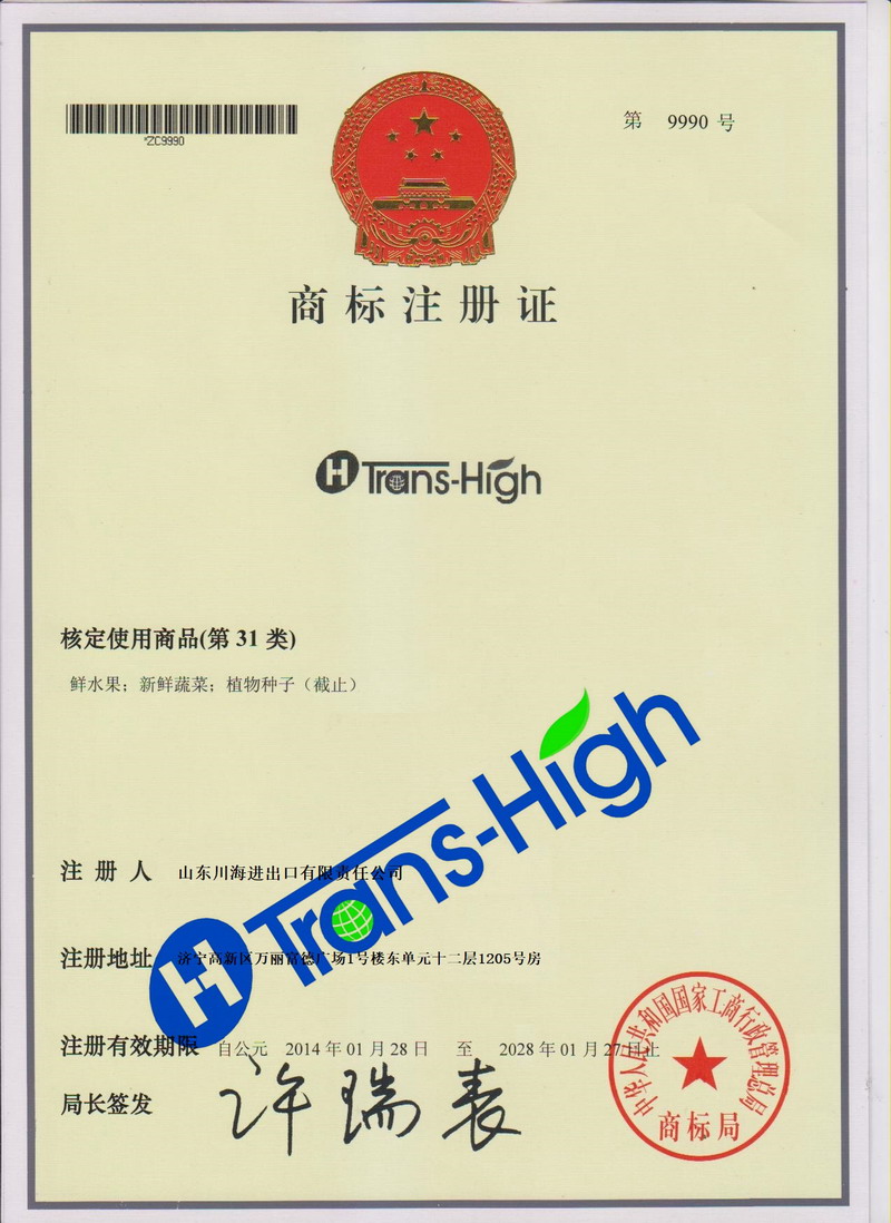 d51512d5-b737-4378-b3f1-db2cd0489ac6.jpg